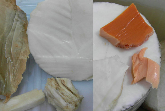 ̫������֥ʲô��ɫ���_1