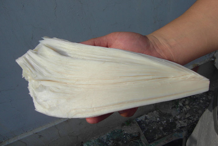 ���Ѱ��Ұ������֥��̫��