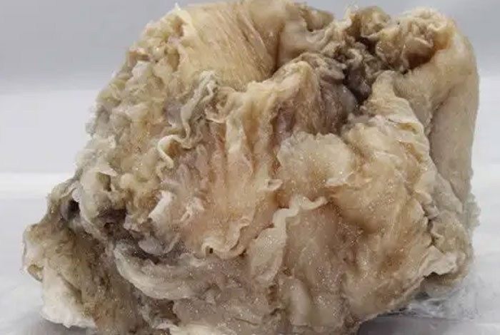 ��������̫������֥,̫��