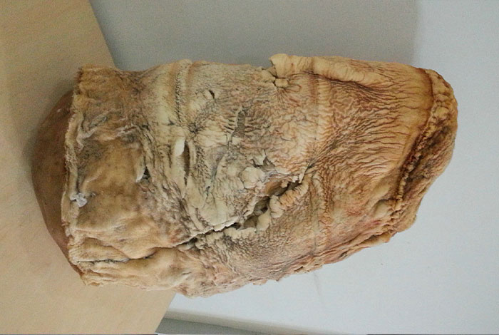 ��֥�����ú͹�Ч,��֥��