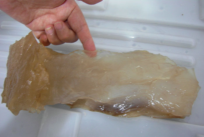 ����֥�Ĺ�Ч,���ذ��İ�