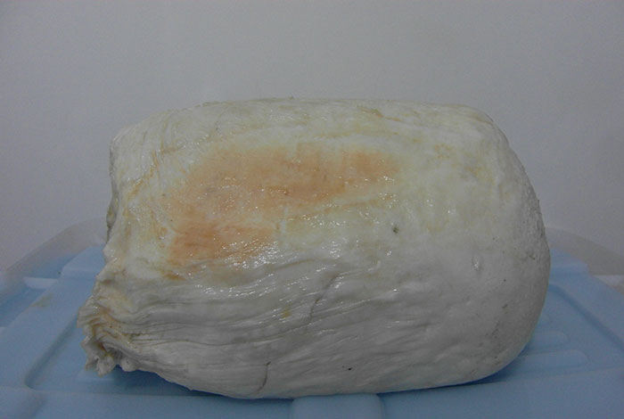 ������̫������֥��,̫��