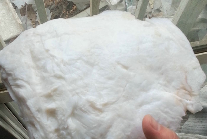 ��̫������֥������ȥ��,