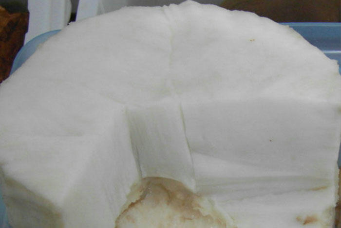 ����֥̫��Ǯһ��,̫����