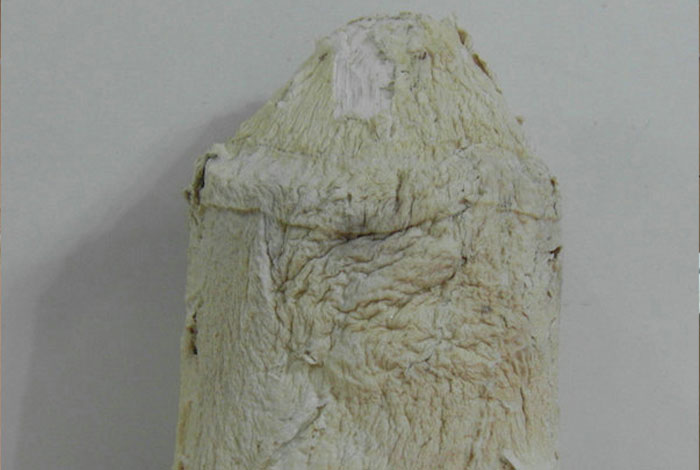 ����Ұ����֥�Ĵ����ã���