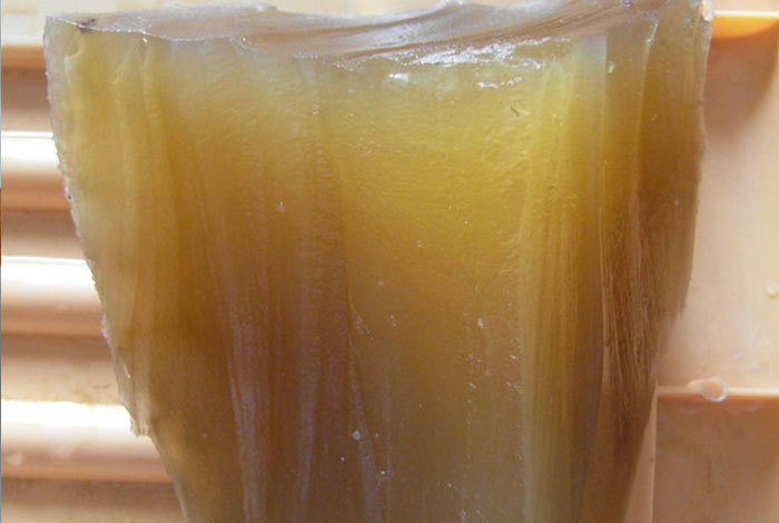 ����ɽ�����У�������֥��