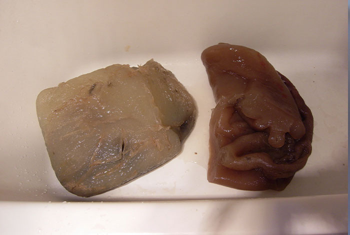 ÿ��һ��̫��ˮ������֥��