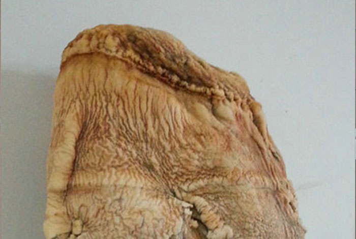 ̫��������֥������������