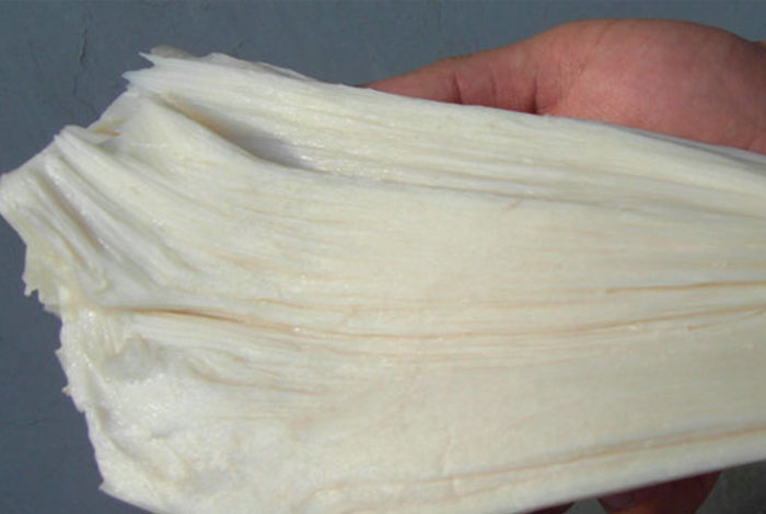 �𾪣���˵�е�'̫������