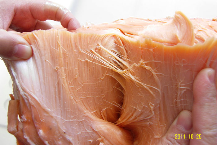 ������������ƣ�ͣ�����֥