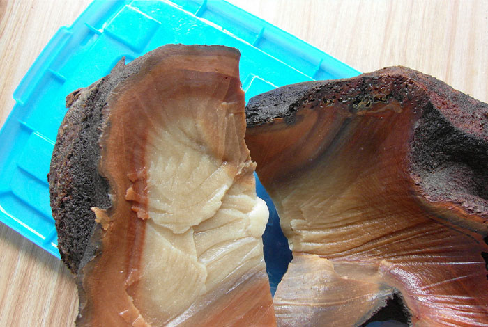 �ղؼұؿ���̫������֥��