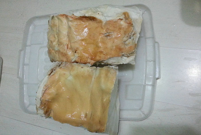 ���㿪ʼѧ��ֳ���ൺ̫��