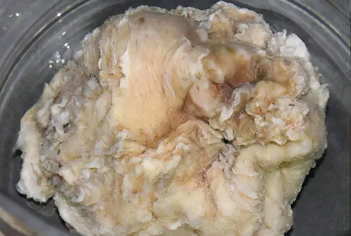 ����֥�����������ʺ��