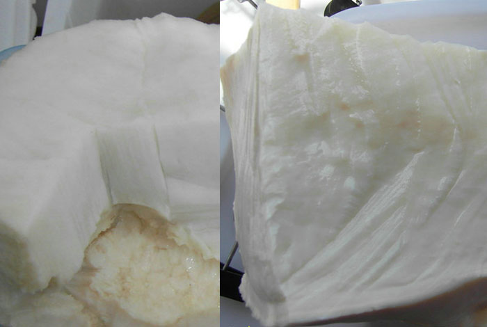 ̫������֥�ĳɷ�24Сʱ��