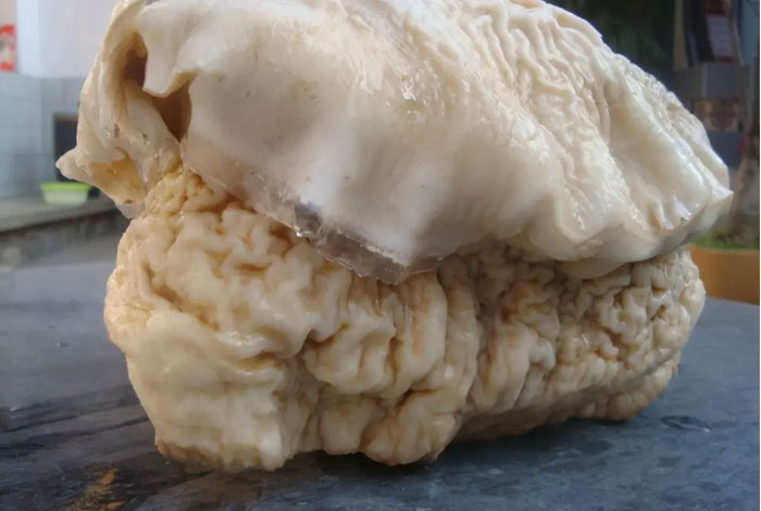 ̫��Ƽ۸��ѯ24Сʱ����