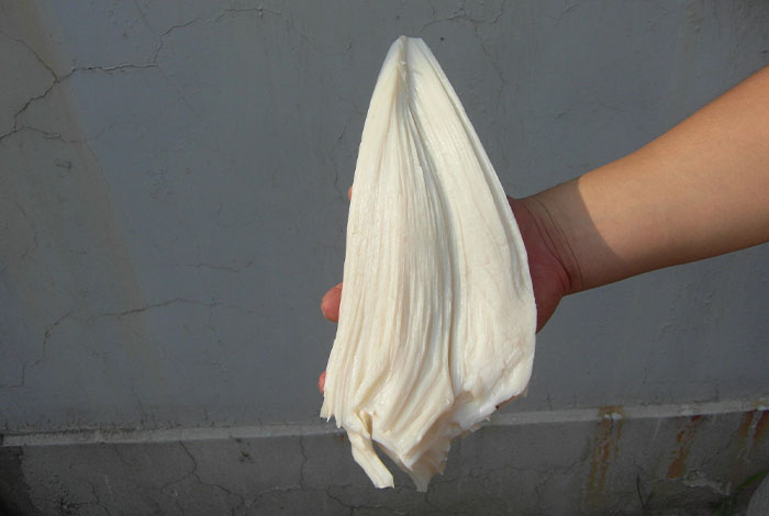 ����������̫��24Сʱ��