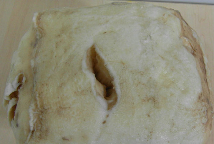 ����������֥�����˽�����