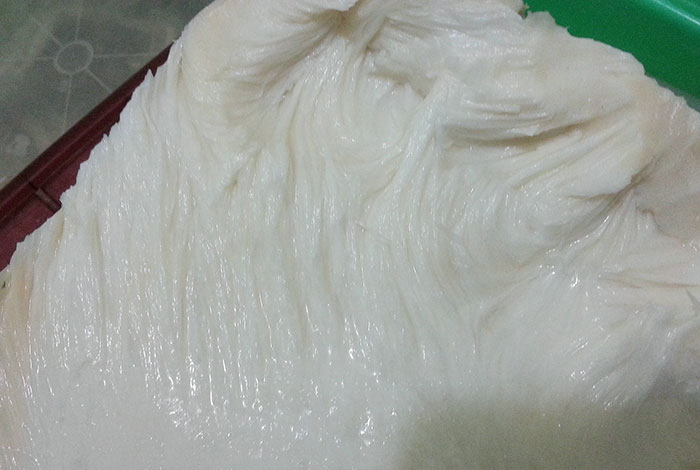 ����֥��ʲô��ͬ��24Сʱ