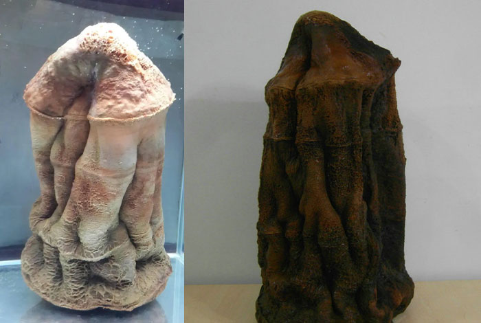 Ұ��̫�����Ǯһ�˿ڱ���