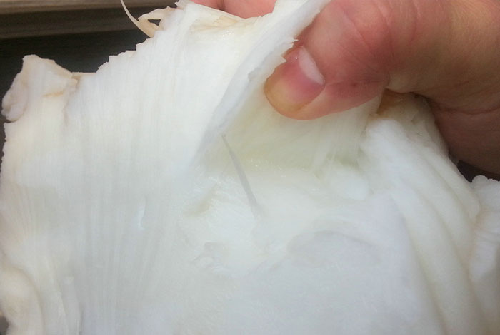 ����֥̫��Ǯһ��۸񹫵�