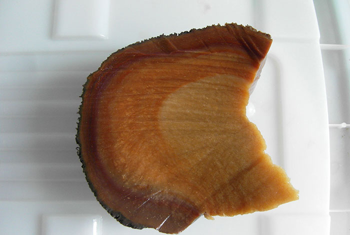 ��̫��ʲô�Ƿ�̫�������