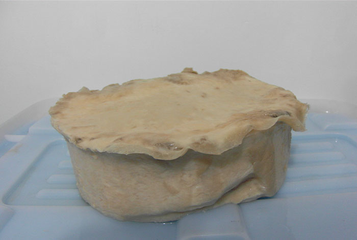 ̫����֥����Ǯһ��۸�͸