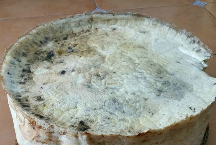 �����»�̫�����Ǯһ����