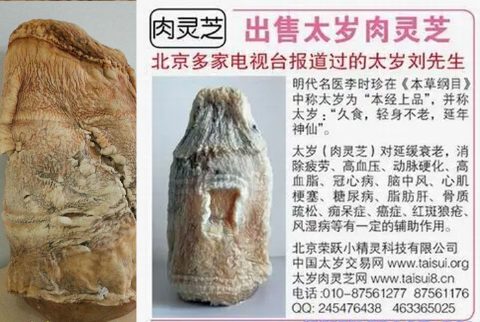 ʯ̫�����Ǯһ��������ѯ