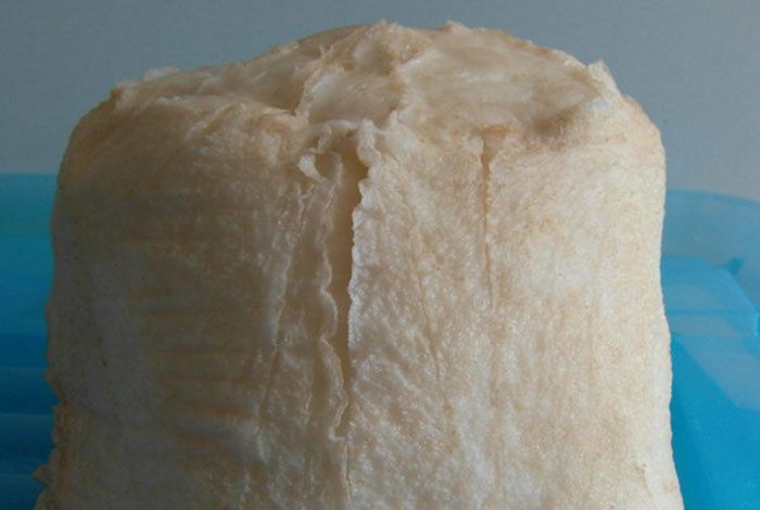 ��Ұ����֥��ȫҰ����֥��