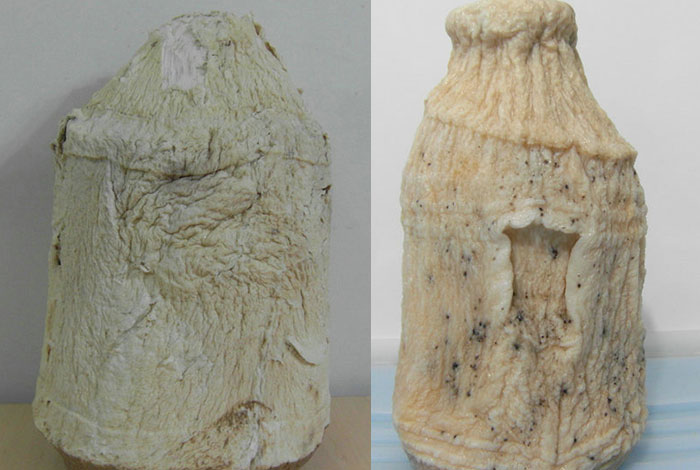 Ұ����С����֥�ò���Ʒ��