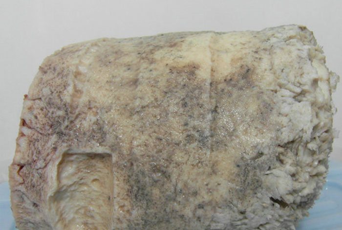 �׳�����֥�ķɻ���