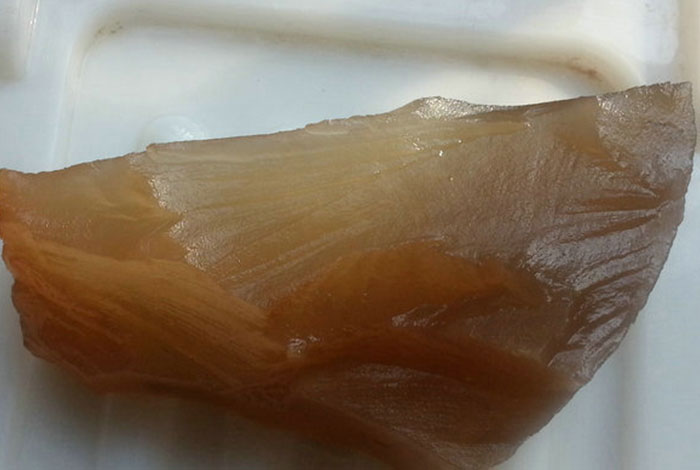 �ɹ�����֥����ֲ��ͼƬ