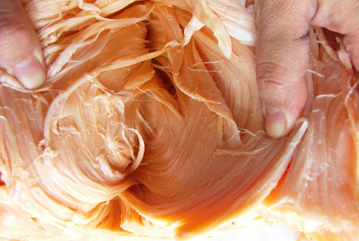 ���������֥��Ӣ��