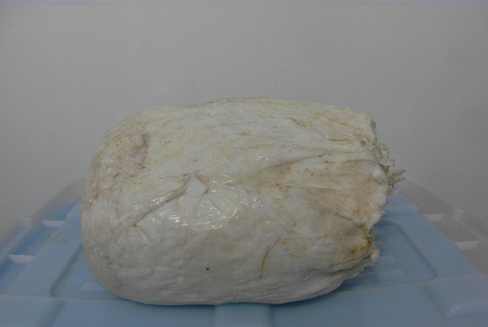 ҹ������ص�������֥