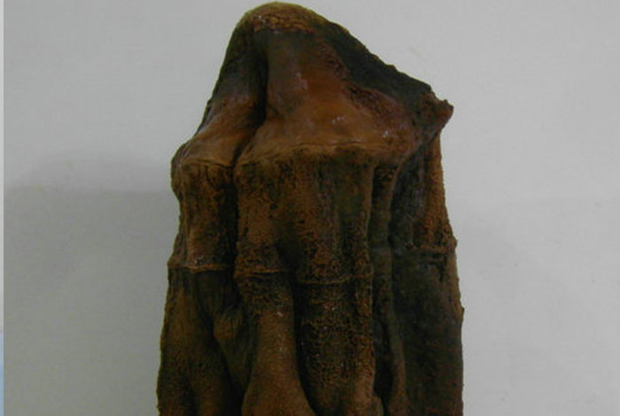 ��ͷ������֥����С˵