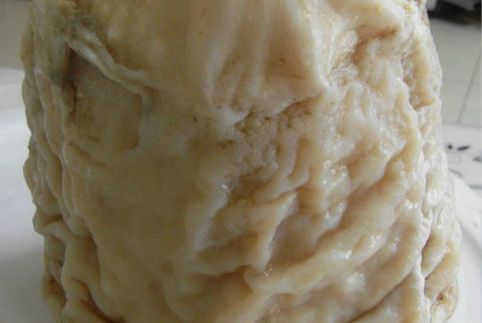 ��չ��������֥�ܳ���