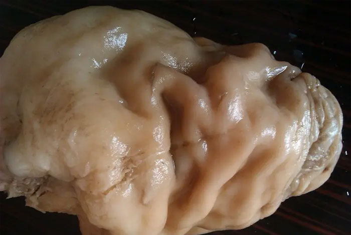 ��֥���Ժ���һ����ô