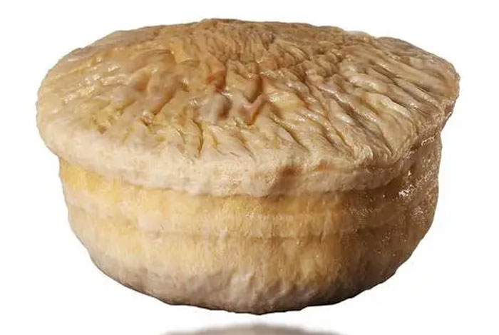 ��֥��������ͼƬ��ȫ