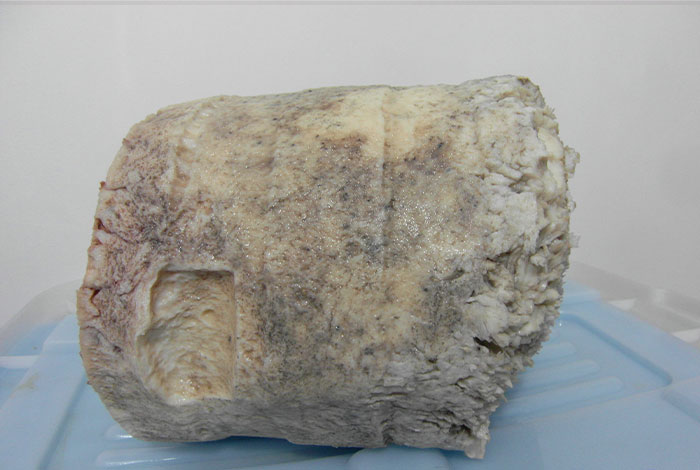 ��֥���������ײ���ô��