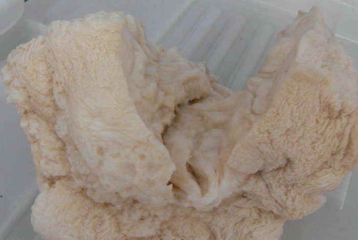 ����֥��ͼƬ������ôд