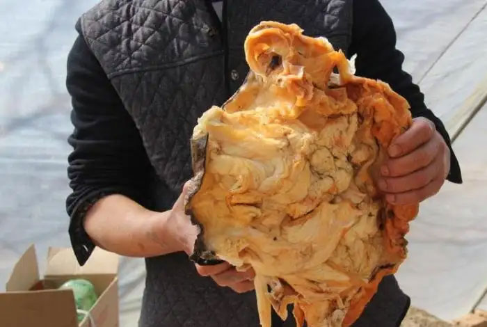 ��֥��������Ŷ��ٿ�