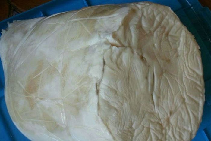 ����֥��Σ���ͺ��