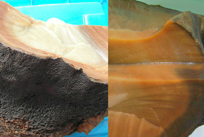 �ղؼ���Ȼ����֥����