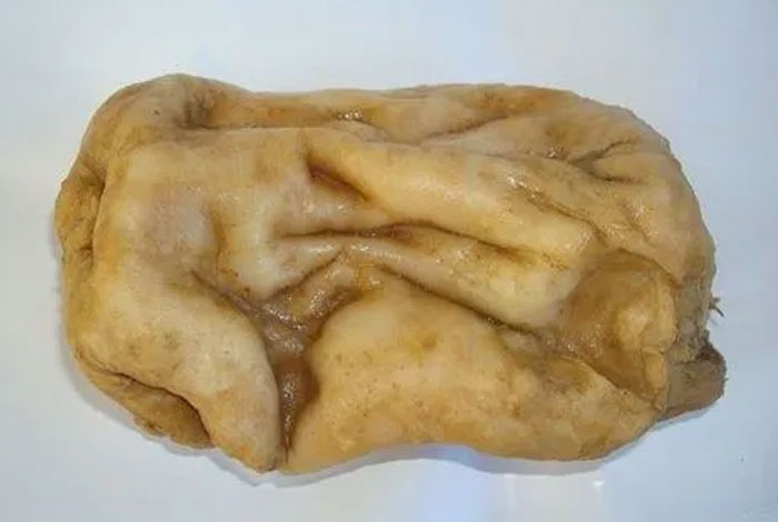 ����Һ��������֥��轾ƣ�